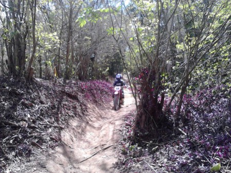 Aldeia, a caminho do Café da manhã.( Lico )