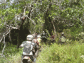 /album/galeria-de-fotos%3a-5%c2%aa-trilha-s-joaquim-do-monte-mai-12/dsc08282-gif1/